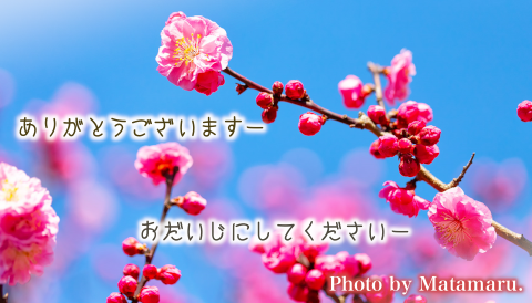 太平調剤薬局　2023年3月