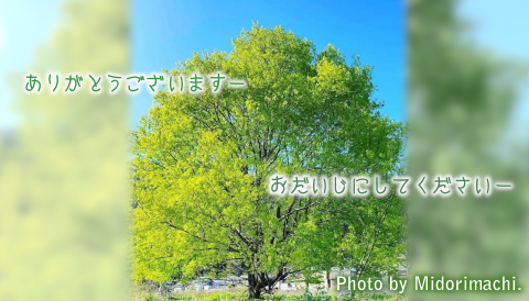 太平調剤薬局 2025年5月
