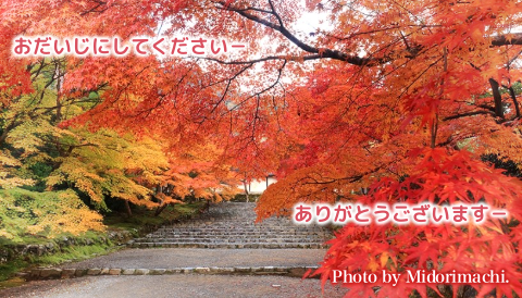 太平調剤薬局 2025年11月