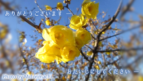 太平調剤薬局　2026年2月