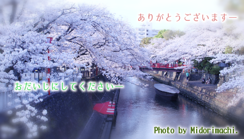 太平調剤薬局　2026年4月