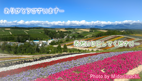 太平調剤薬局　2026年5月