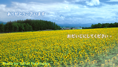 太平調剤薬局　2026年8月